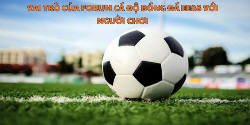 Tham gia forum để giao lưu và hỏi hỏi kinh nghiệm